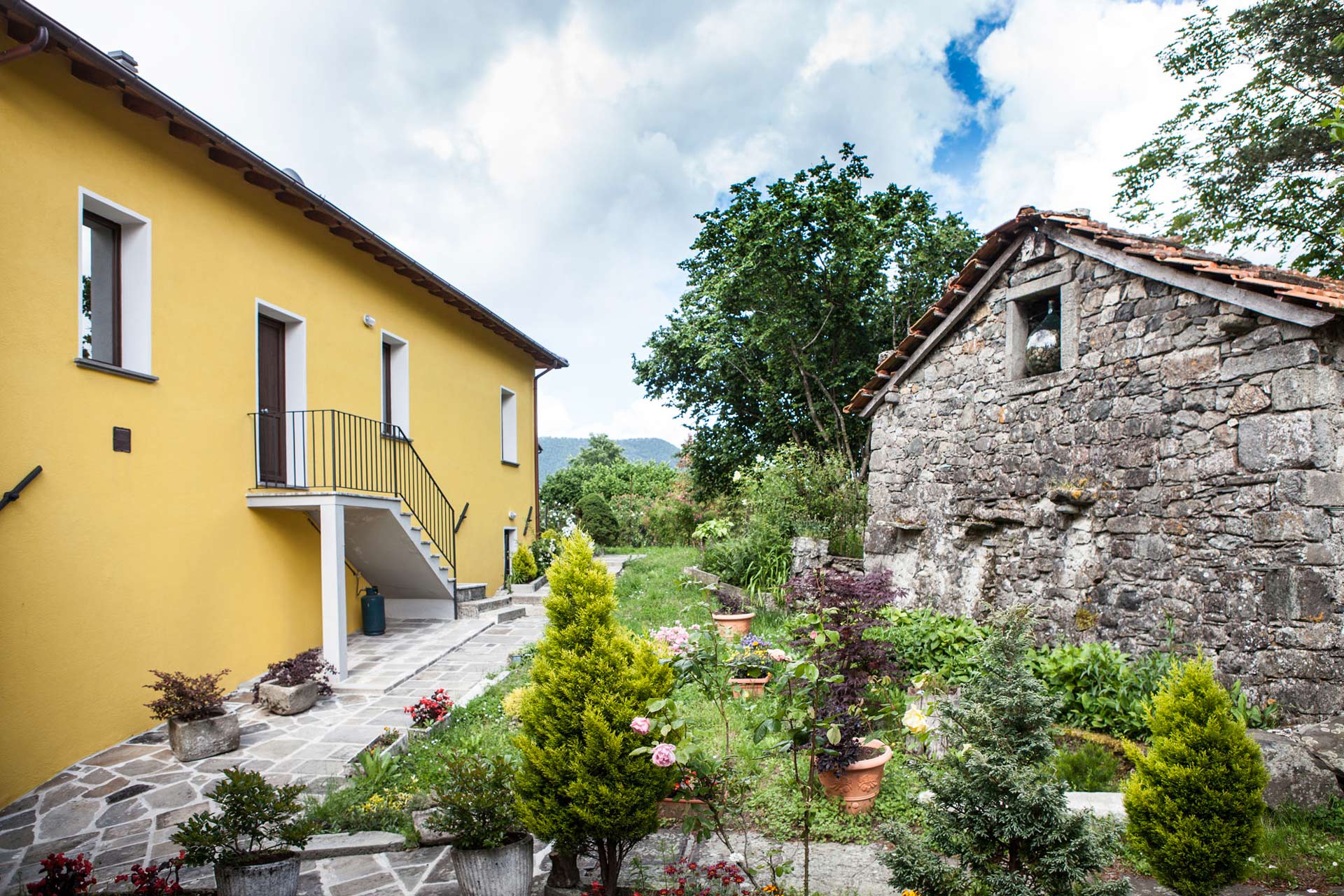 UNA VACANZA NEL VERDE