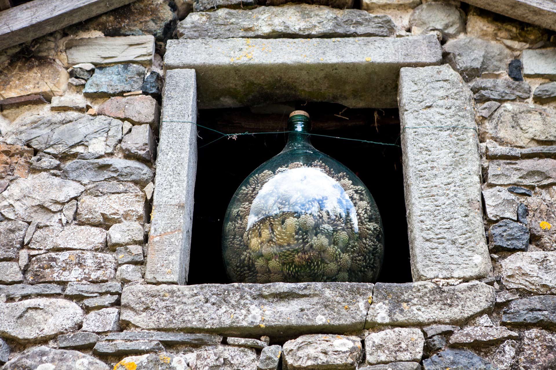 UNA VACANZA NEL VERDE