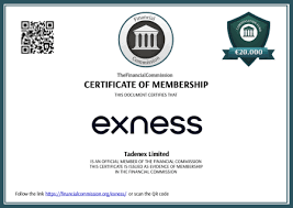 Download Exness Metatrader 4 for Seamless Trading Experience