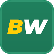 Comprehensive Review of the BetWinner Mobile App -583481827