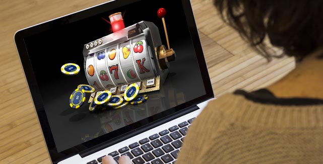 Explore the Thrills of Online Casino Mr Cat